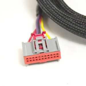 Ford F-Series SuperDuty F600 High Idle Control Kit - BD Diesel - Adjustable - `17-`22